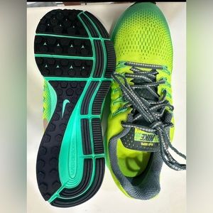 Nike air zoom Pegasus 33